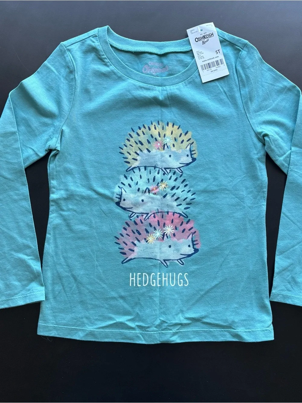 New OshKosh B'gosh Girls 5T Top & Leggings Set Long sleeve Hedgehog Blue Pink